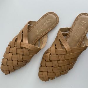 splendid sherwood mule